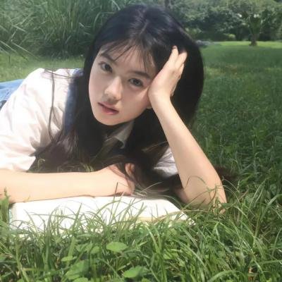 托梅斯的导盲犬
