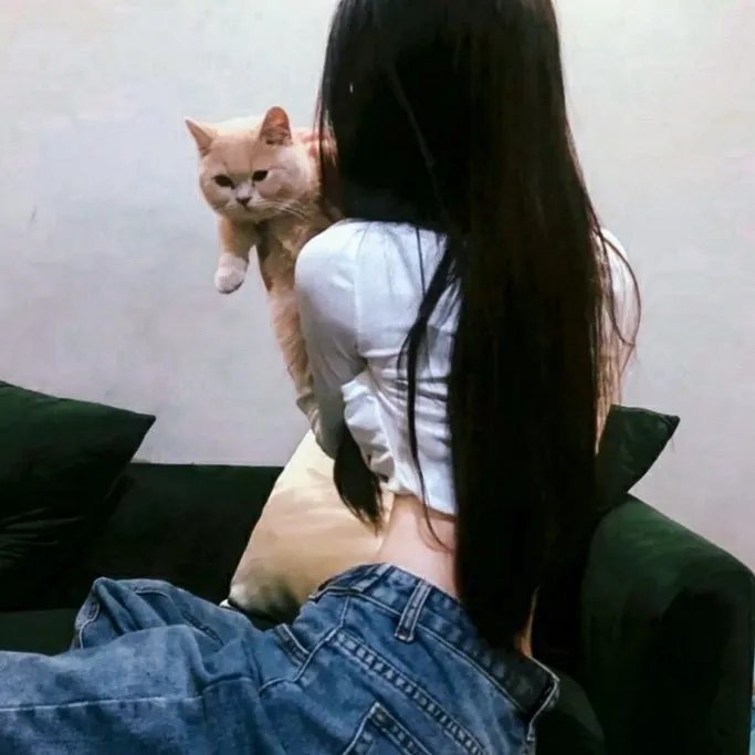 新 ‧ 无仁义之战