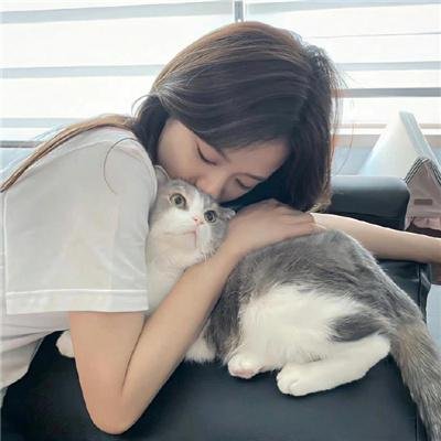极地暗杀 第三季